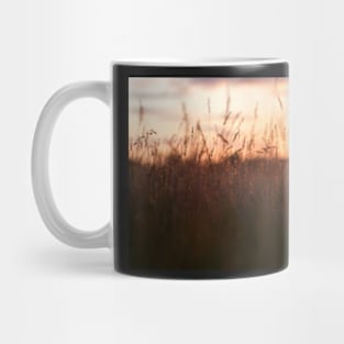 Sunset on the meadow Mug